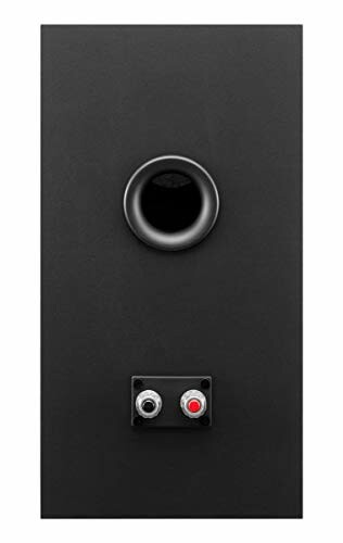 Back panel of a black speaker with a circular port and connectors.